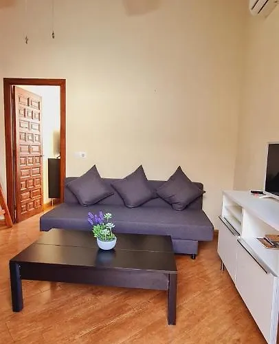 Magnifico Apartamento Tipo Duplex En Triana