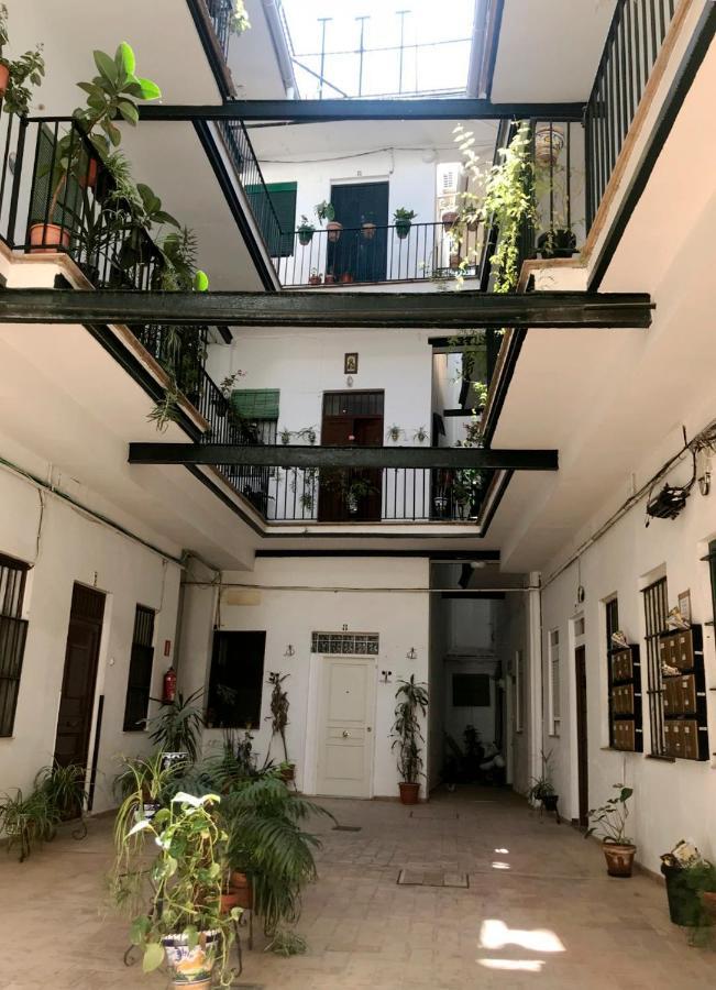Magnifico Tipo Duplex En Triana Apartamento *