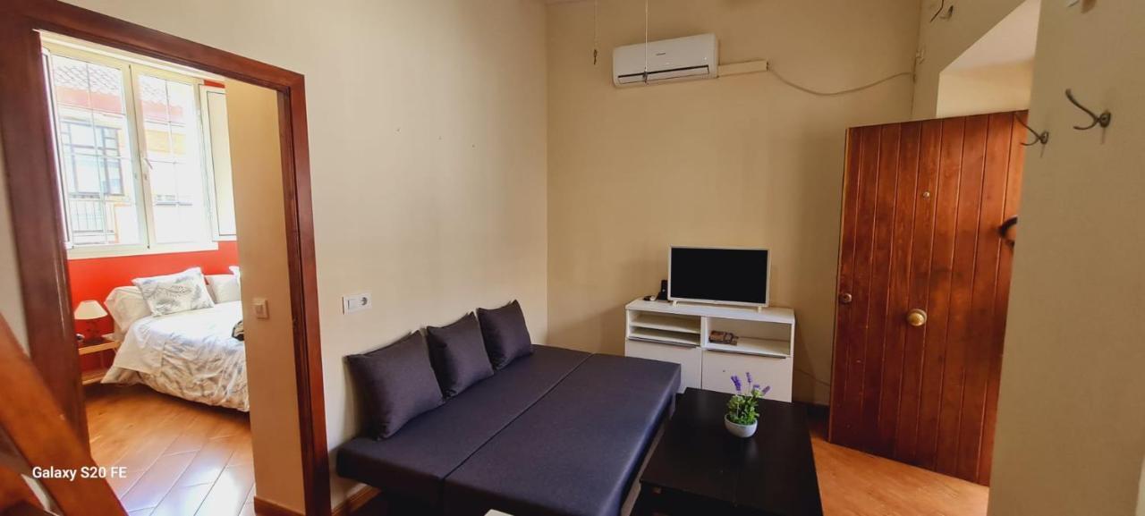 Magnifico Tipo Duplex En Triana Apartment *